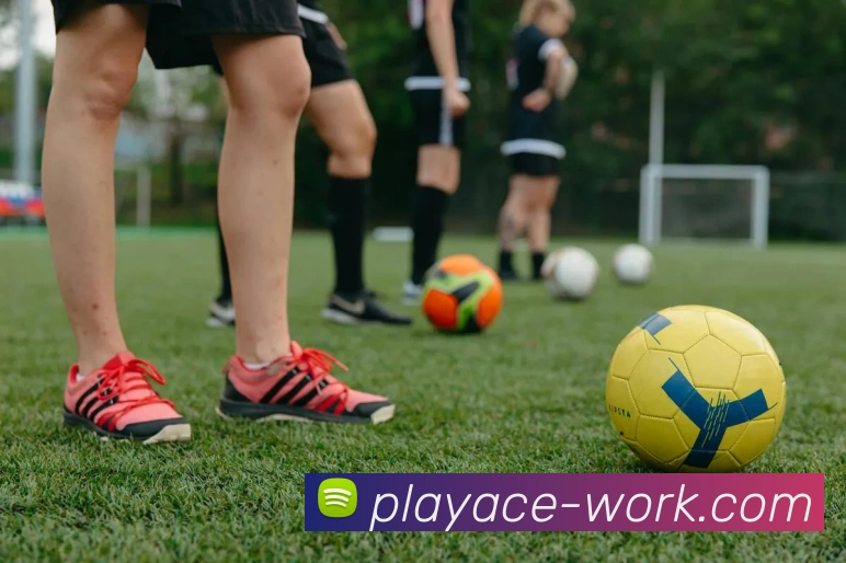 PA电子官网发展历程